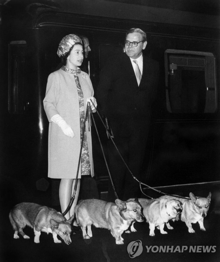 1969년 엘리자베스 2세 영국 여왕이 런던 킹스크로스 기차역에서 코기 4마리와 함께 걷고 있다. 사진=연합뉴스