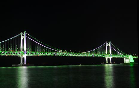 세상이 초록빛 희망으로 물듭니다 … 부산시, ‘생명을 밝히는 그린라이트 장기기증 캠페인’ 전개