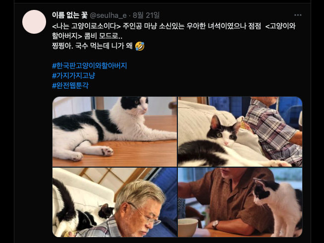 이 게시글 이전에도 다혜 씨는 부친인 문 전 대통령의 반려견 '토리'와 반려묘 '찡찡이' 사진을 올리며 근황을 전한 바 있다.사진=문다혜 트위터