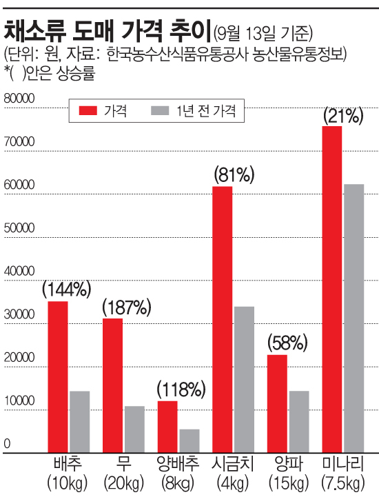 "김장도 어렵겠네"…하반기도 채소값에 가공식품까지 '고공행진'