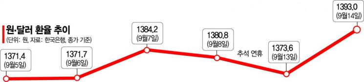 [송승섭의 금융라이트] '킹달러' 현상은 왜 나타날까