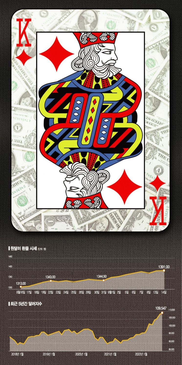 [실전 재테크]킹달러 시대 투자 전략은?