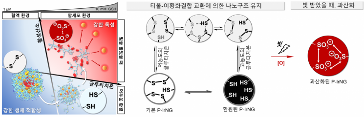 나노젤(P-IrNG) 광감각제 시스템의 모식도.