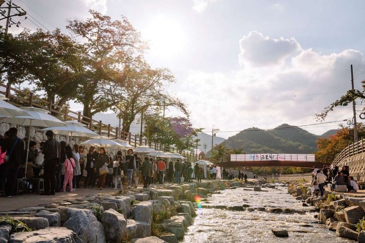 청춘 금오천 축제.