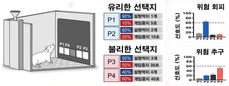 도박성게임 동물모델. 각기 다른 확률로 보상과 처벌을 제시했을 때 위험 회피군은 유리한 선택지를, 위험 추구군은 불리한 선택지를 더 많이 선택한다.