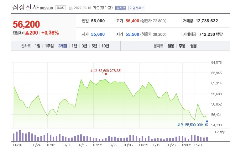 '10만전자' 꿈 비웃듯 '6만전자' 저 너머에…외인 '삼성전자' 던지는데, 개미는