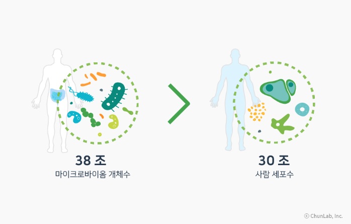 인체 내 세포 수와 마이크로바이옴의 개체 수 비교(사진=CJ바이오사이언스 제공)