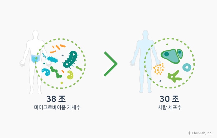 드디어 나온 미생물 치료제... 한국은 언제쯤