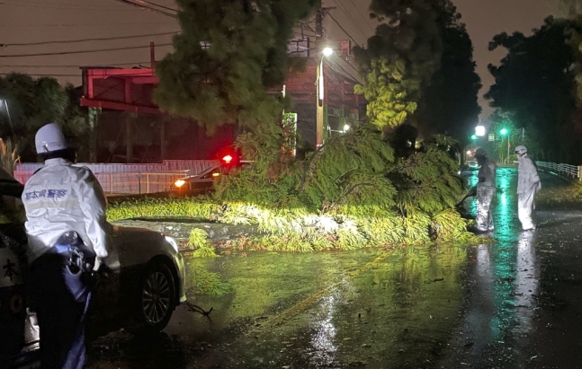 제14호 태풍 '난마돌'이 강풍을 동반해 일본 열도에 상륙한 가운데 18일 오후 일본 구마모토현 구마모토시의 국도에 나무가 쓰러져 길을 막고 있다. 사진=AP연합뉴스