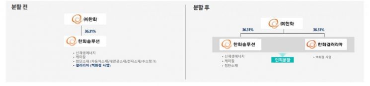 [클릭 e종목] "한화솔루션, 갤러리아 및 첨단소재 사업 개편 긍정적"