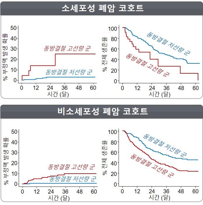 소세포성 폐암 코호트에서 동방결절에 선량이 높은 경우 심방세동 발생이 25%로 선량이 낮았던 환자군(2.7%)에 비해 높게 나타났다. 비소세포성폐암 코호트에서도 역시 동방결절 선량이 높은 경우 심방세동 발생이 9.9%로 선량이 낮았던 환자군(0.7%)에 비해 높게 나타났다.