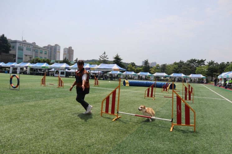 반려견 순찰대, 동명대학교서 발대식 진행 … 부산지역 활동 개시!
