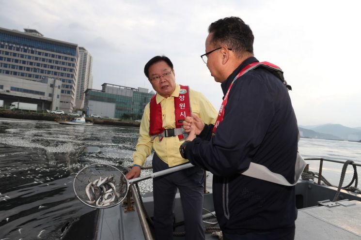 창원시 마산합포구 해안 일대의 물고기 집단 폐사 현장을 찾은 홍남표 시장.