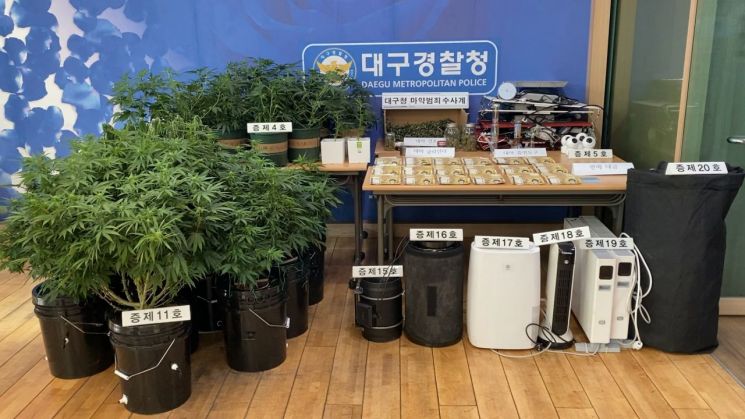 대마 및 재배 도구, 판매 대금 등 압수품 사진. 사진=대구경찰청 제공.