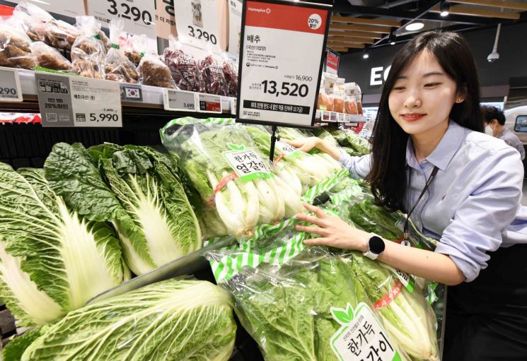 홈플러스, 배추·얼갈이·열무 할인전…“금(金)치 가격 잡는다”
