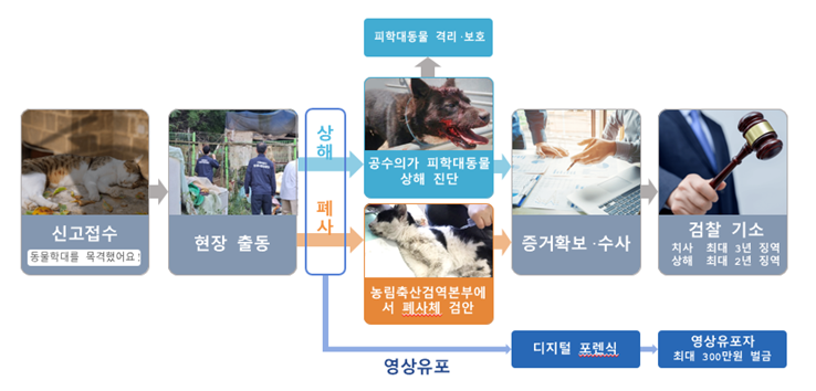 서울시, 동물학대 행위에 대해 전문수사관 12명 투입…전문수사팀 신설