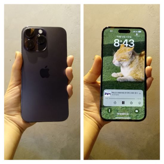 [체험기]'다이내믹 아일랜드' 감성이 나를 사로잡았다…아이폰14 프로맥스