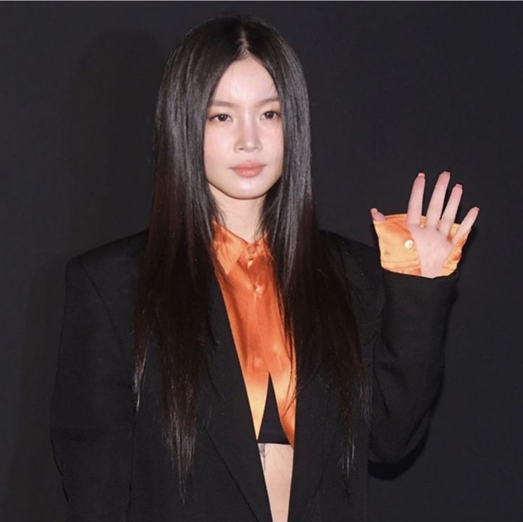 이하이 인스타그램