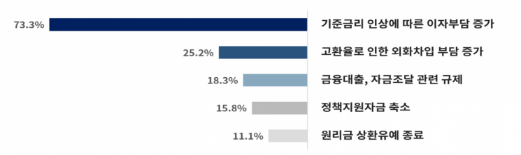 자금 운용상 주요 리스크 요인(복수응답). 사진제공=대한상의