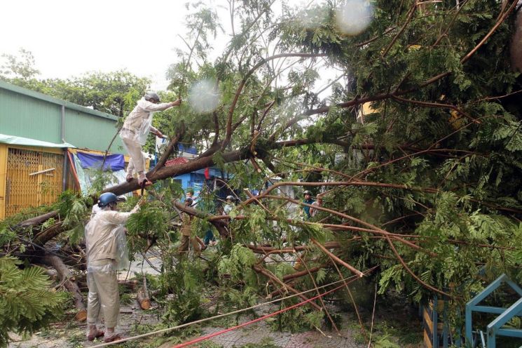 베트남 다낭, 폭우로 인명 피해 속출 … 최소 10명 사망