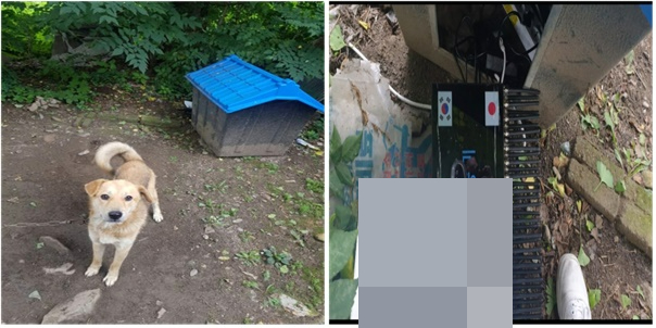 개집 내 중계기를 숨긴 사례. 평소에 살펴보지 않는 곳에 중계기를 설치하고 전원 공급을 위해 배터리 등과 연결했다. /경찰청 제공