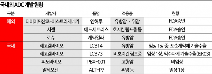 암 잡는 '크루즈 미사일' ADC… 치열해지는 기술 선점전 