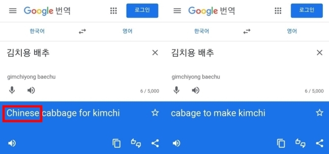 '김치용 배추' 영어 번역에서 'Chinese' 뺀 구글...서경덕 "꾸준히 항의"