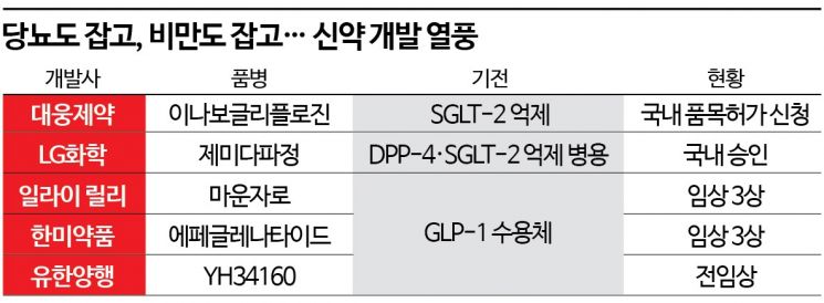 다양한 기전 개발 나서는 당뇨 치료제… 비만 치료 확장 가능성까지
