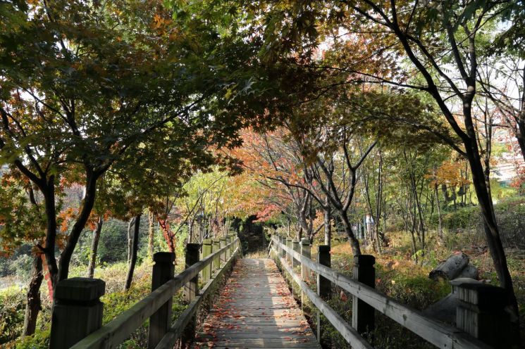 관악 별빛 산책... 성동 마을축제 개최