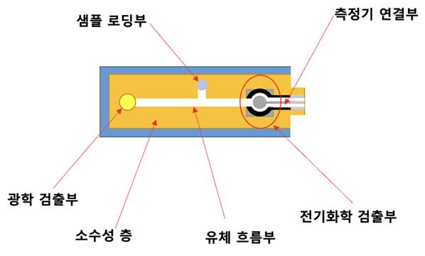 '세계 1위' 대장암…피 한 방울로 신속 진단한다