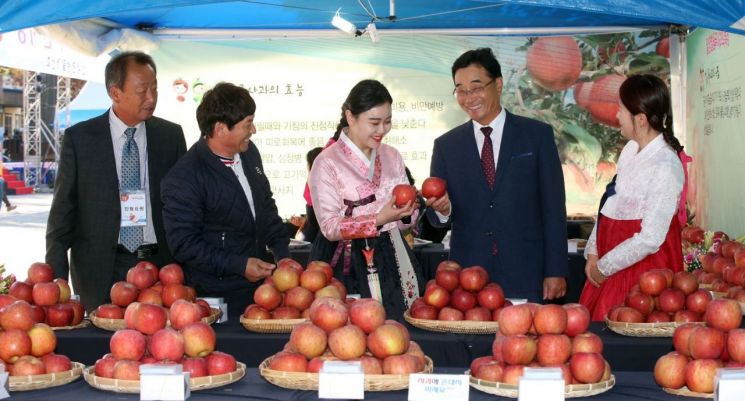 2019년 열린 밀양얼음골 축제 당시 모습. [밀양시청 제공]