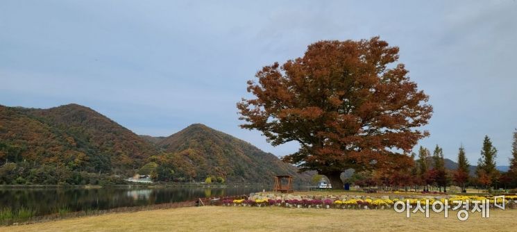 화천 아를테마 수목공원 [강원도관광재단]