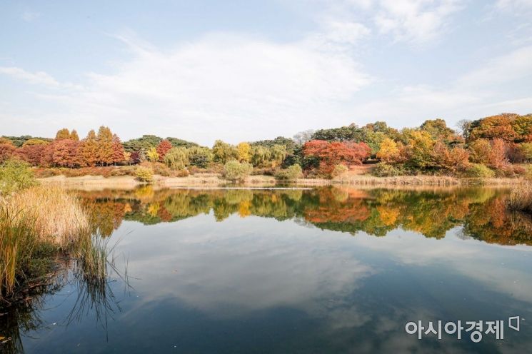 [하루만보]한성백제 역사와 올림픽공원…몽촌토성역