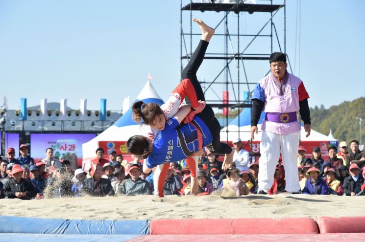 청송군, 사과축제와 연계한 다양한 스포츠행사 개최.(지난 축제 씨름대회 모습)