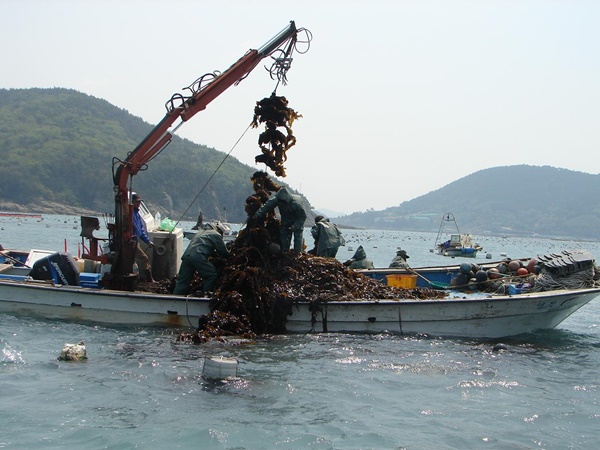 완도군 ‘해조류 부산물 재활용 사업’ 호평