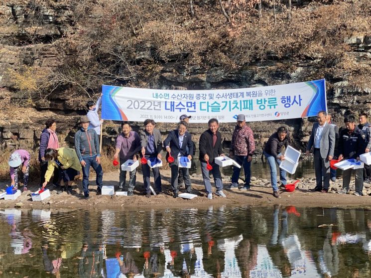 어린 다슬기 9만패를 영양군 동천에 방류하는 경북도 수산자원연구원 민물고기연구센터.