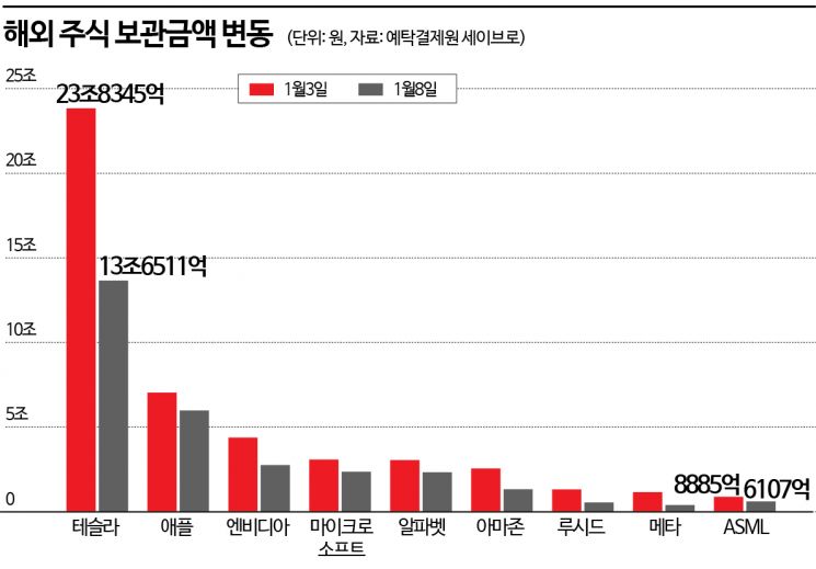 서학개미, 매섭게 테슬라 샀지만…보관금액 '반토막'