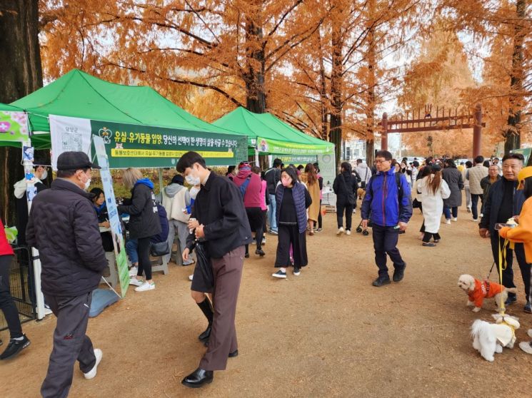 담양군, 유기견 입양 활성화 캠페인 추진