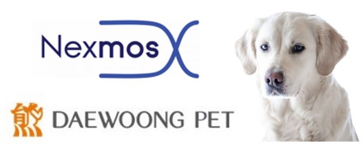 넥스모스, 대웅펫과 '반려견 치매 치료제' 공동 임상개발 착수