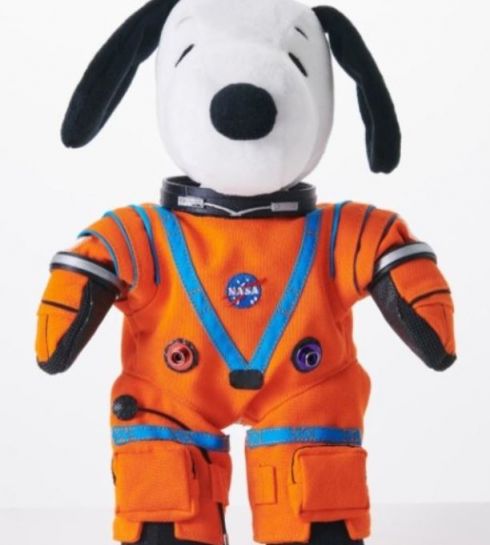 [뉴스속 인물]스누피가 美 달 탐사대로 선정된 이유는?