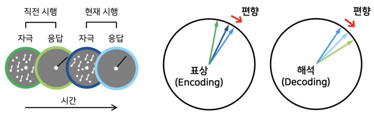 면접순서, 평가에 영향 준다? … UNIST, 뇌 인지 처리 ‘순서 효과’ 작동 원리 밝혀