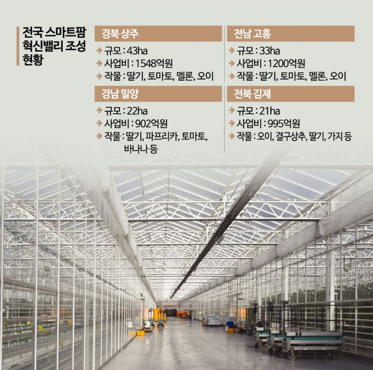 "이젠 농업도 기술직 시대"…2030 초보농부 '억대 수입' 올린다