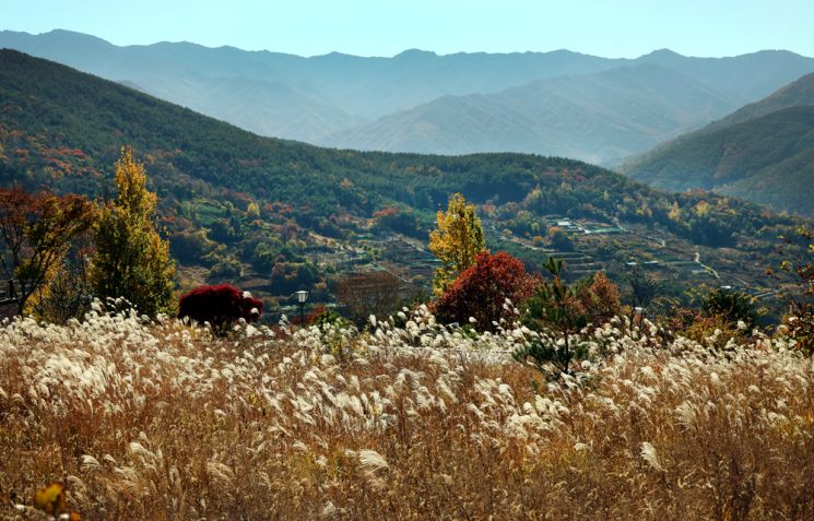 [여행만리]‘마음은 부자’ 되는 소박한 지리산둘레길 