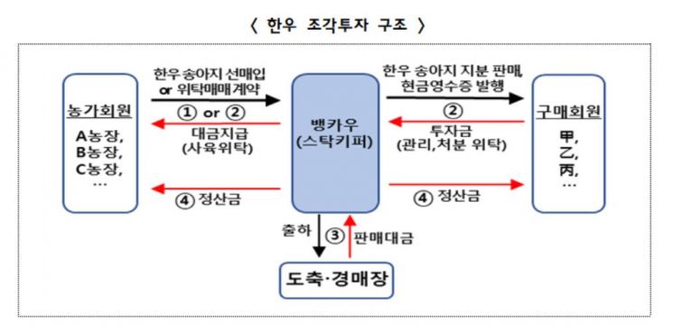 뮤직카우 제재면제 최종 의결…한우·미술품 조각투자 유통 '폐쇄' 결정