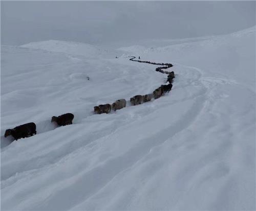 中 신장 영하 48도 … 도로정비 노동자 7명 동사