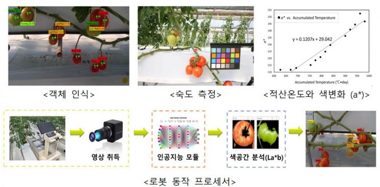[르포]로봇팔이 토마토를 딴다…한국형 스마트팜 미리보기