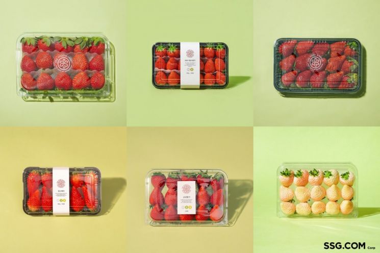 [유통핫피플]"길쭉이 딸기·붉은 샤인머스캣…이색과일 '쓱' 실험대에"