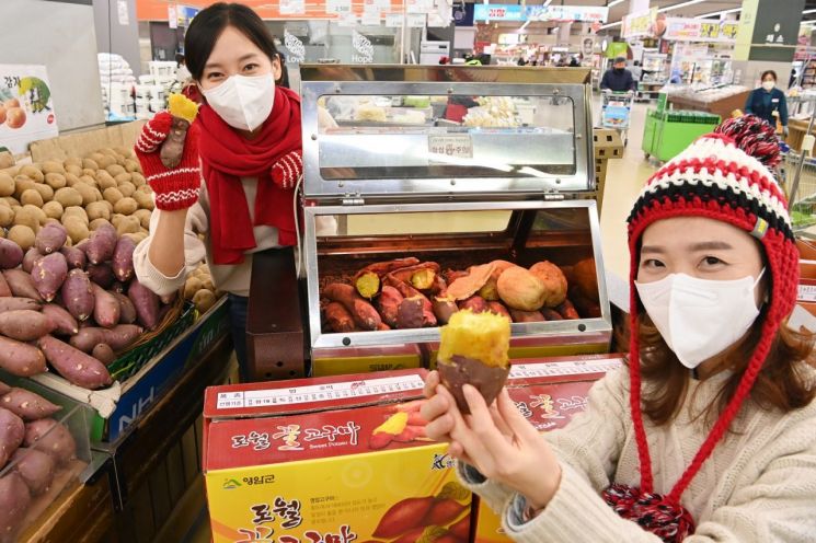 농협유통 "겨울 대표 영양 간식 고구마·감사 할인"