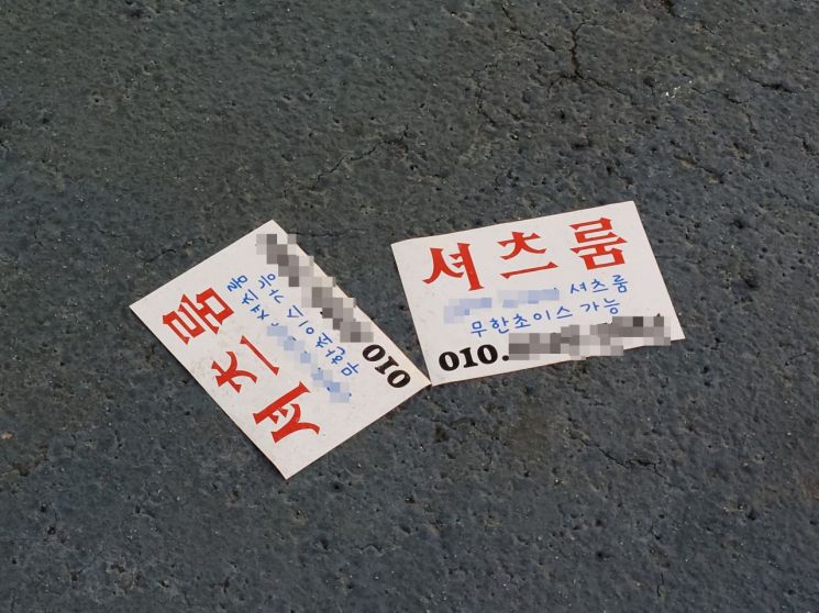 낯부끄러운 성매매 전단지가 널린 서울 금천구의 한 유흥가. 이 곳에서 70걸음만 걸어가면 가정 밖 청소년들이 모여 사는 청소년쉼터가 존재한다. 청소년쉼터 역시 청소년 시설임에도 불구하고 유흥가와 거리를 두지 못하고 있다. /사진=공병선 기자 mydillon@