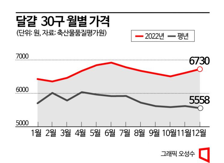 AI 확산에 다시 들썩이는 계란값…정부, 수입란 검토